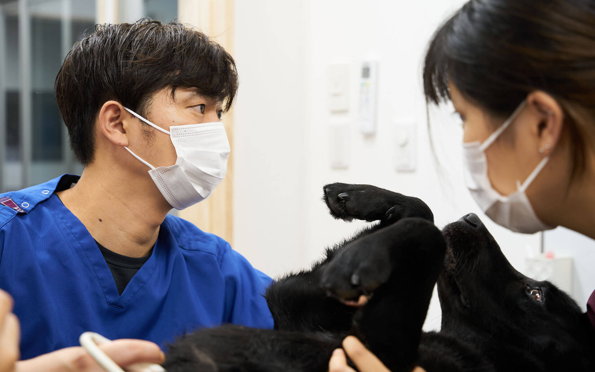 獣医師 石川動物病院